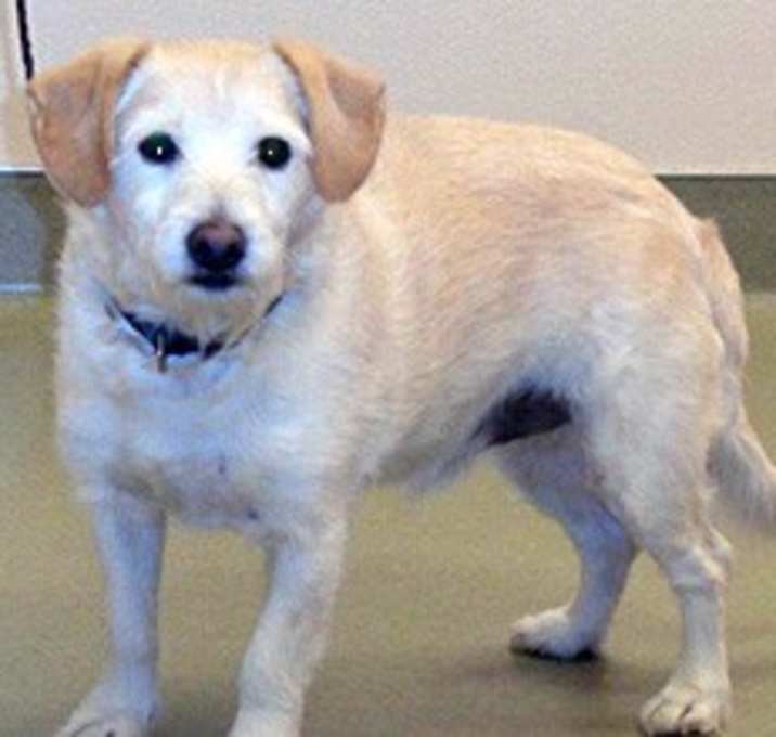Photo of Marley