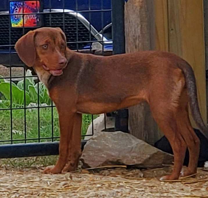 Photo of Rosie