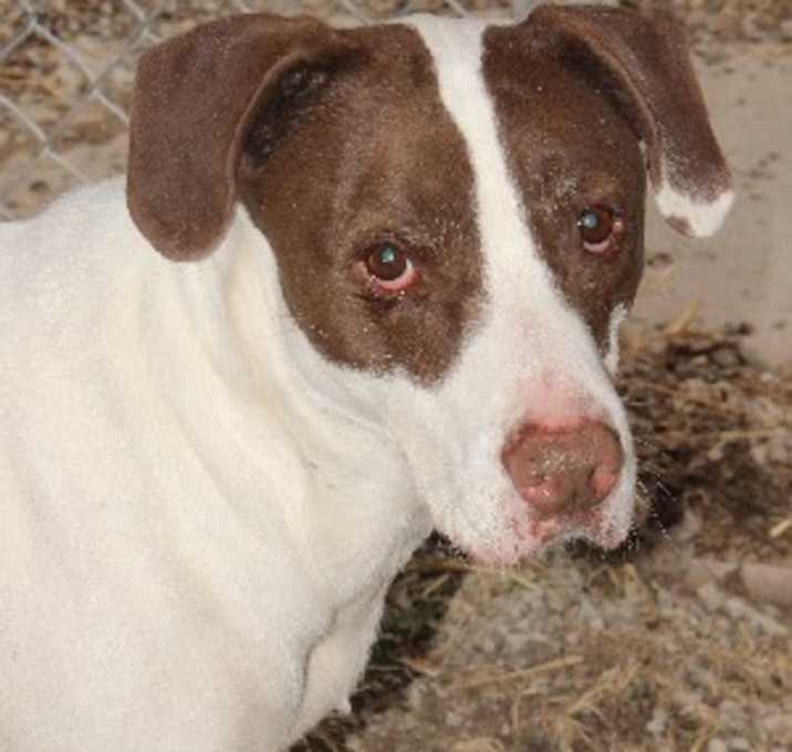 Photo of Oliver