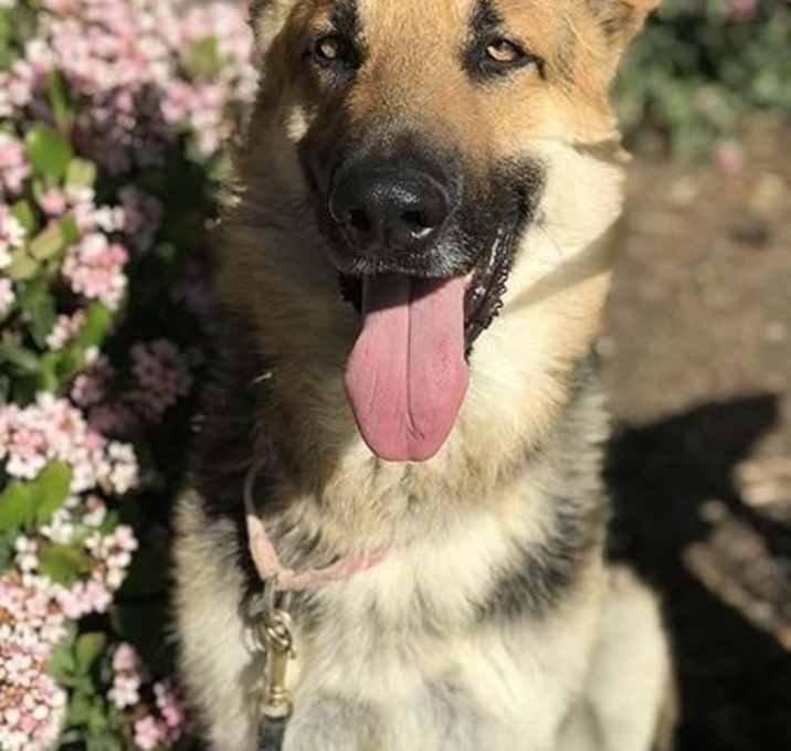 Photo of Ivan