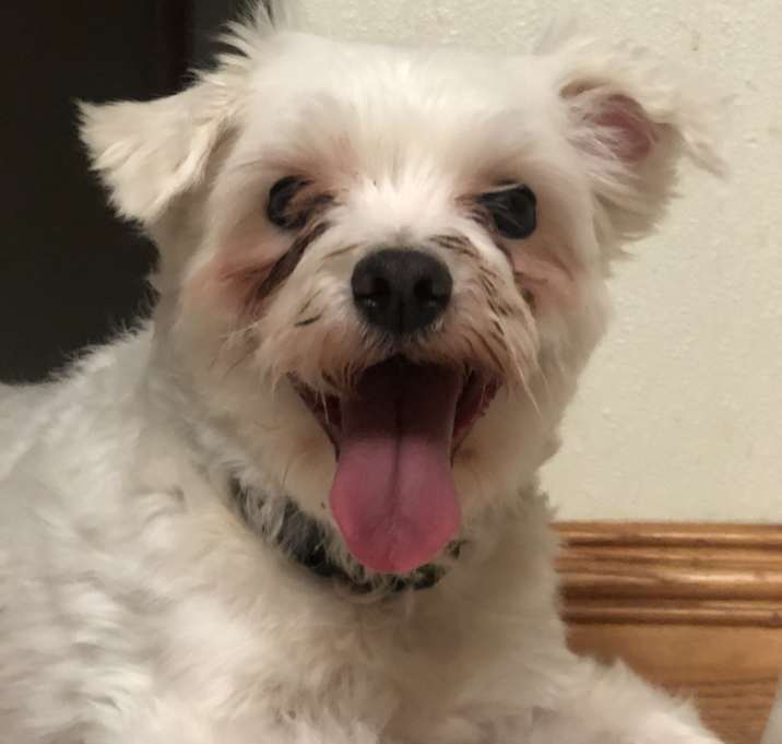 Photo of Coco