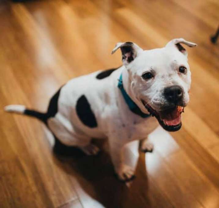 Photo of Margo