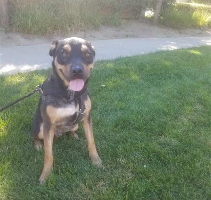 Photo of Tyson