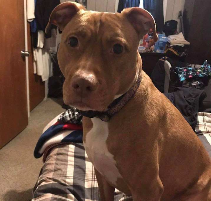 Photo of Shelby