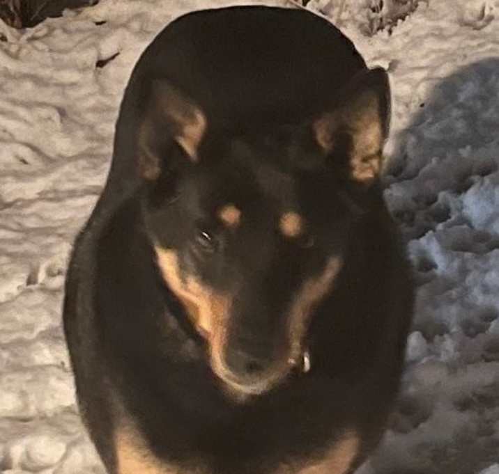 Photo of Thelma