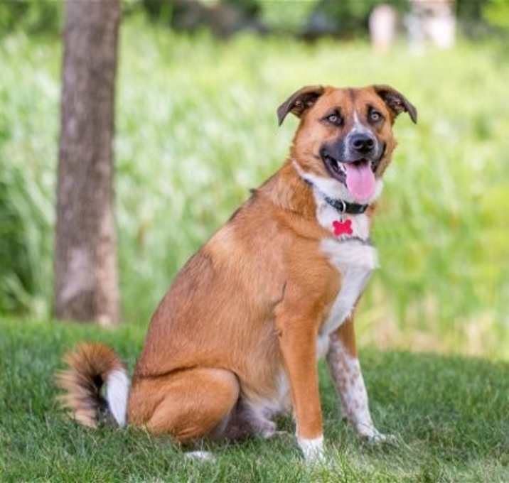 Photo of Jagger D5198