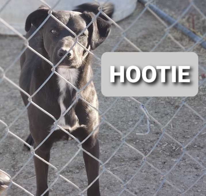 Photo of Hootie
