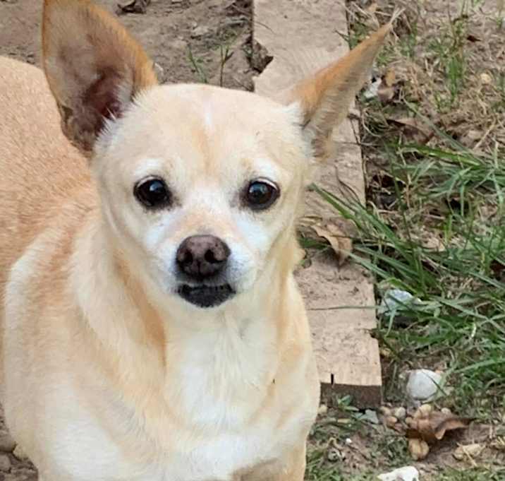 Photo of Tiny
