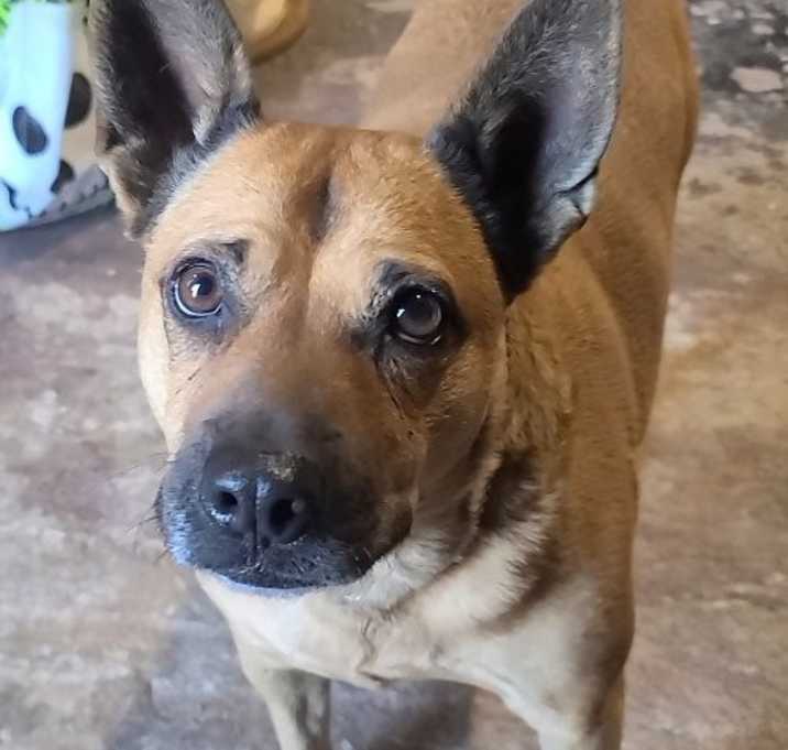 Photo of Shirley