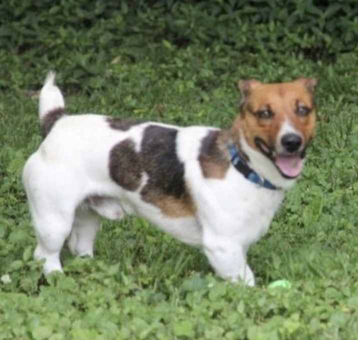 Photo of Jack