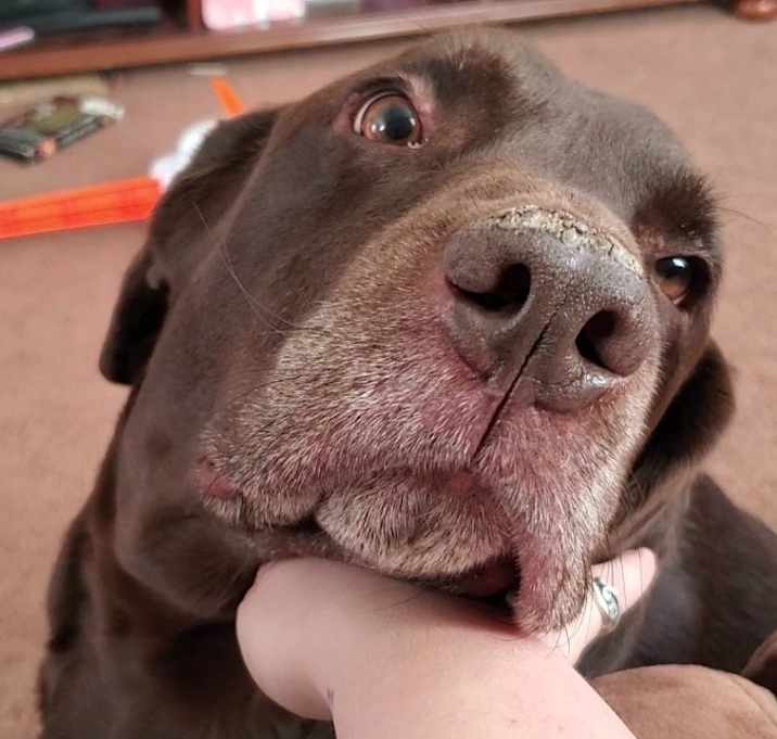 Photo of Thor