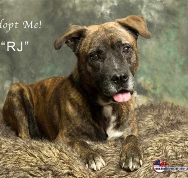 Photo of RJ