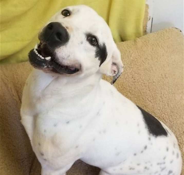 Photo of Marley