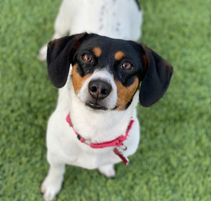 Photo of Lexie