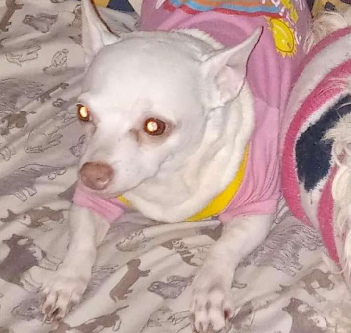 Photo of Sally