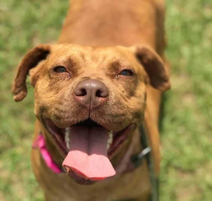 Photo of Kali