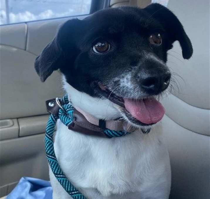 Photo of Bullet