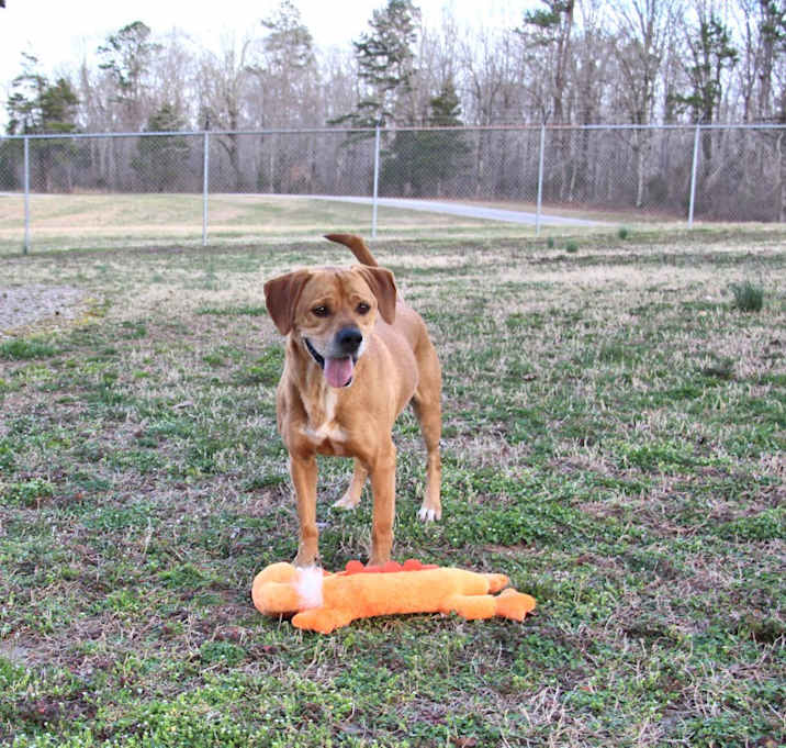 Photo of Oscar