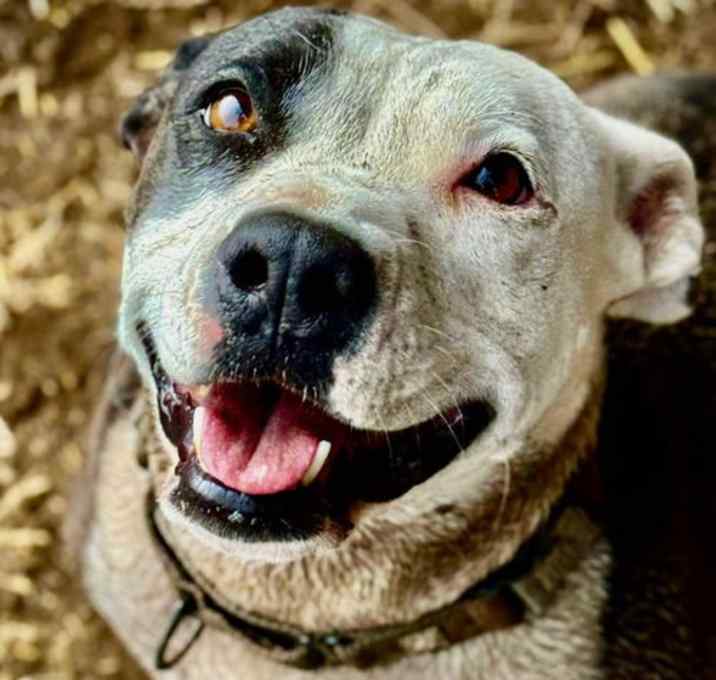 Photo of Ramona