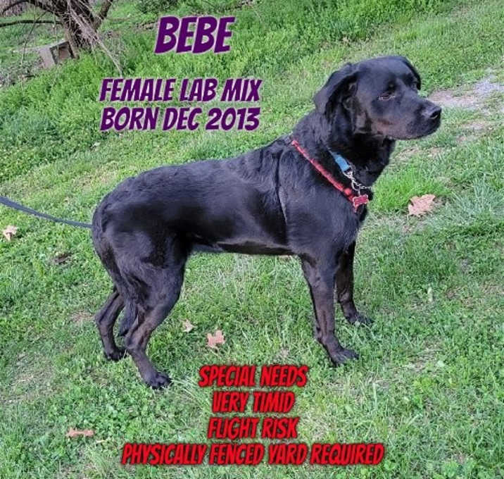 Photo of BeBe