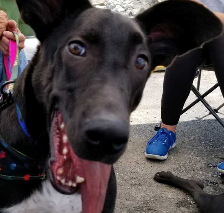 Photo of Jet