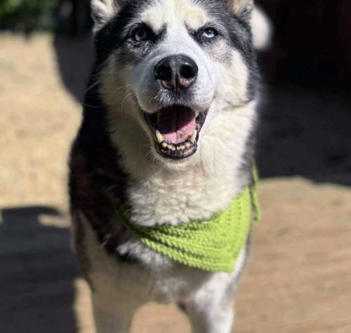 Photo of Hunter