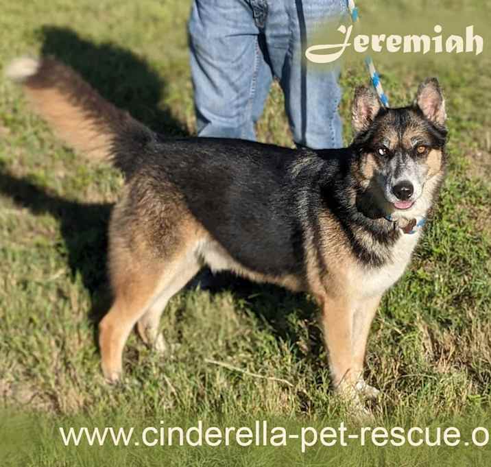 Photo of Jeremiah