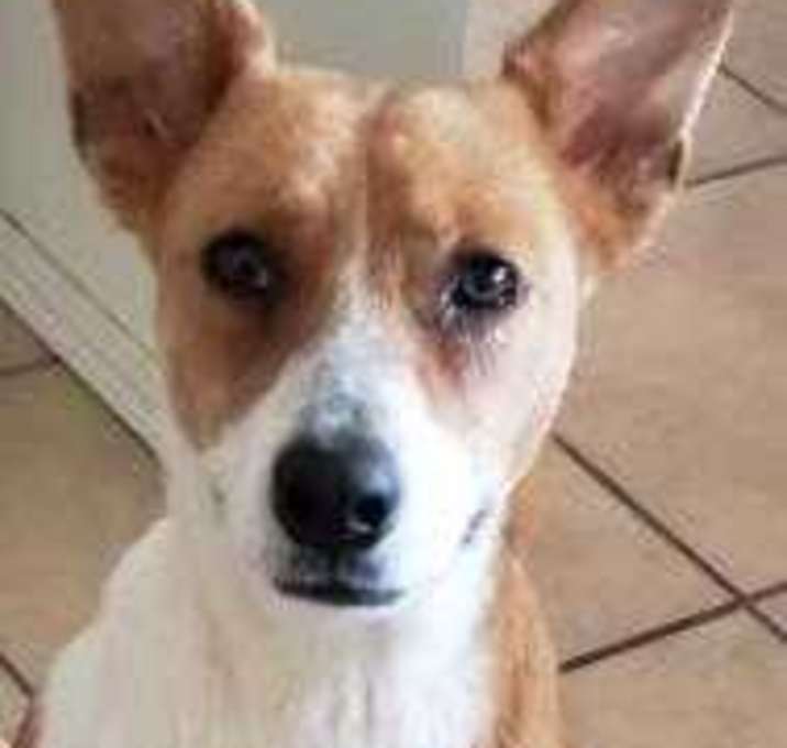 Photo of Elsa