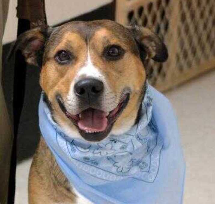 Photo of Rocco