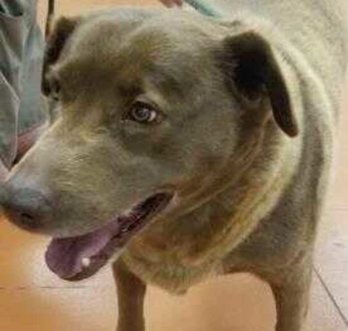 Photo of Hazel
