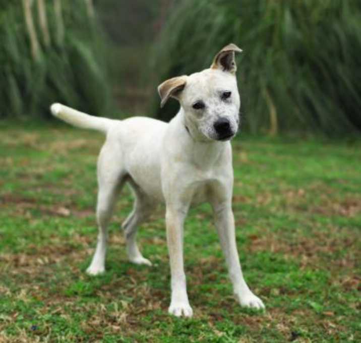 Photo of Hunter