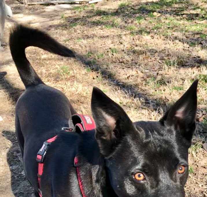 Photo of Little Guy