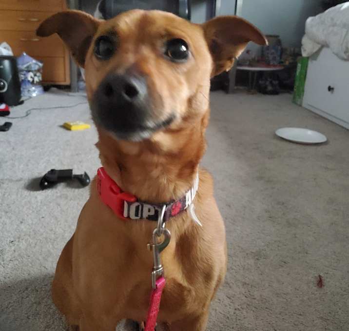 Photo of Mickey
