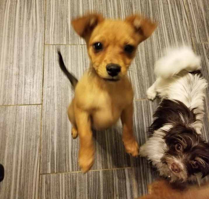 Photo of Tiny