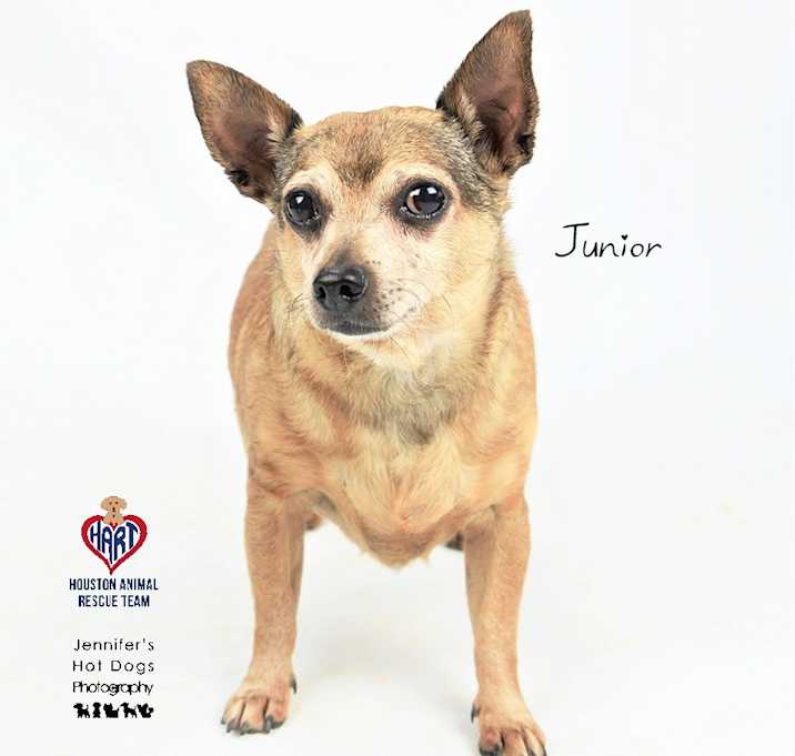 Photo of Junior