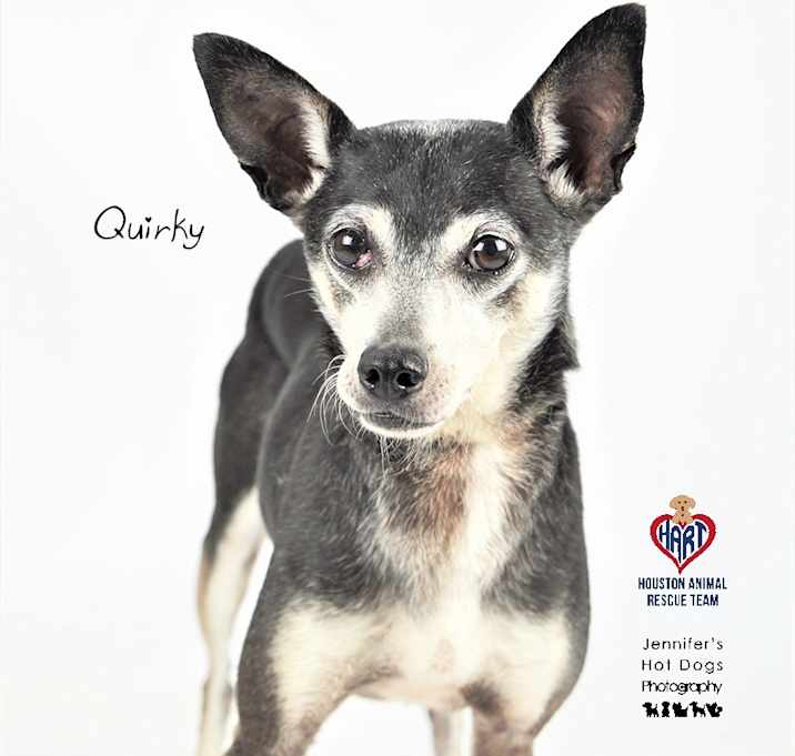 Photo of Quirky