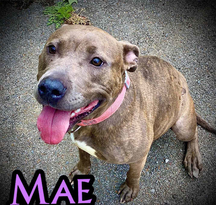 Photo of Mae