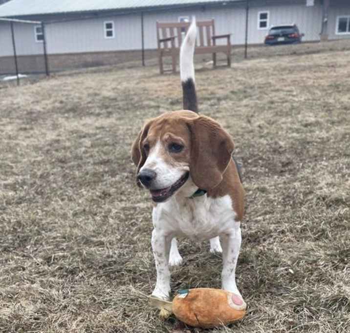 Photo of Cooper