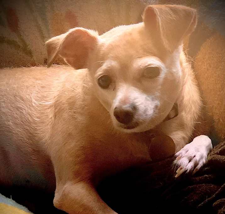 Photo of LIZA