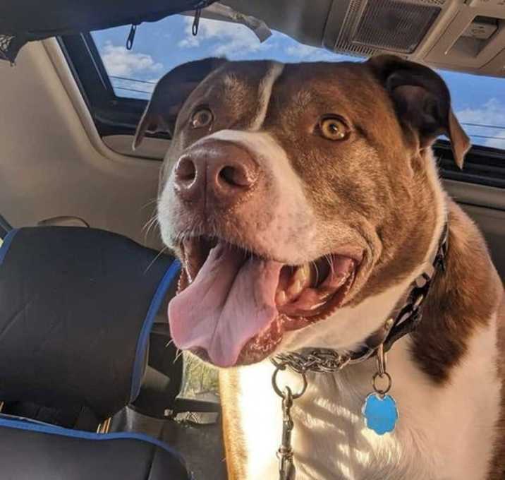 Photo of FERGAL aka RAMBO