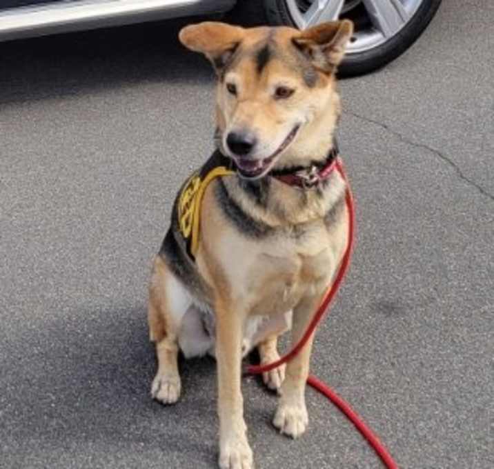 Photo of Rascal