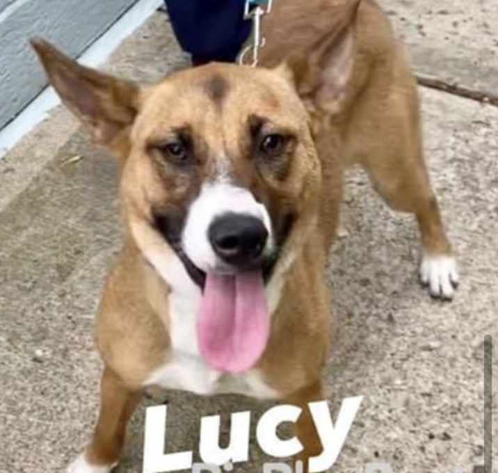 Photo of Lucy