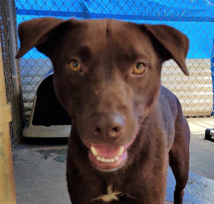 Photo of Bucky