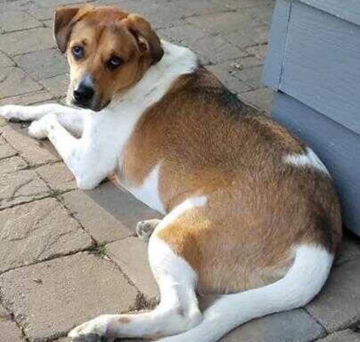 Photo of Farley