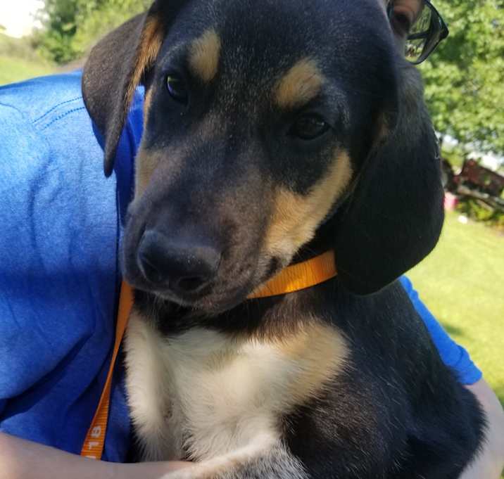 Photo of ATHENA