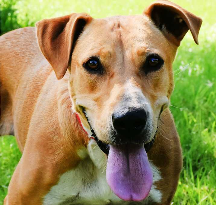 Photo of Echo