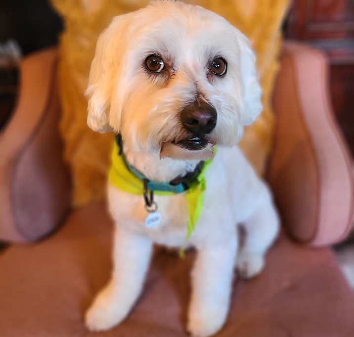 Photo of Bob