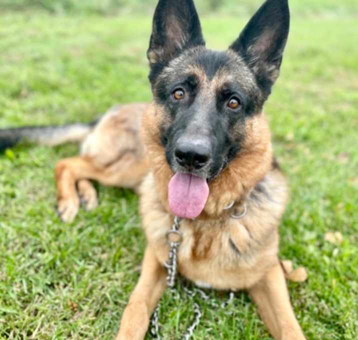 Photo of Duke