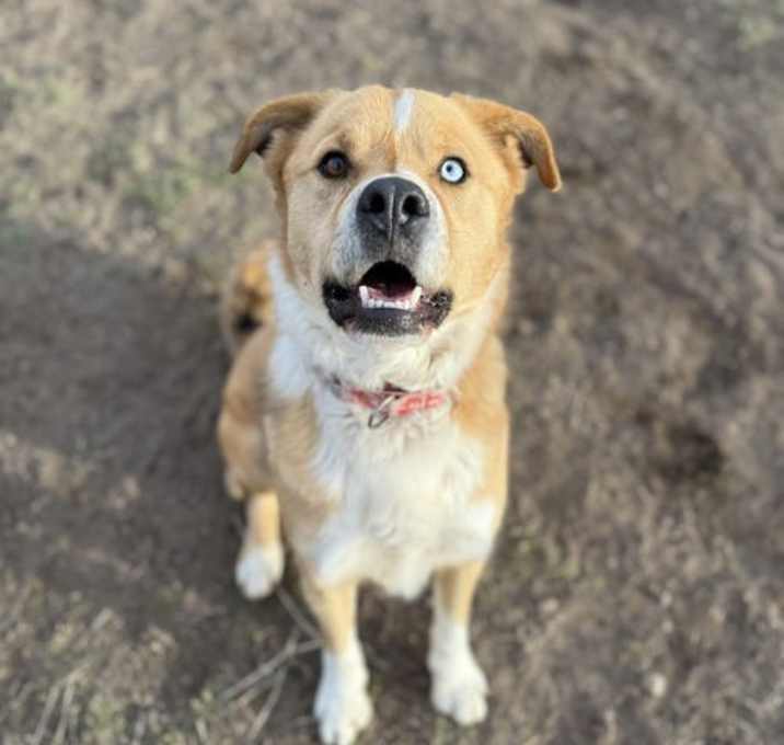 Photo of Tocho