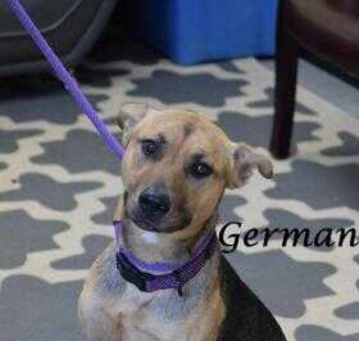 Photo of German